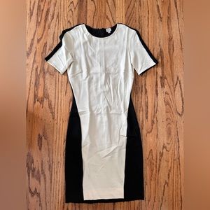 Wilfred Aritzia Dress
